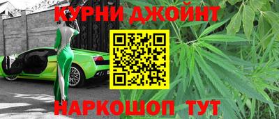 шишки Лесосибирск